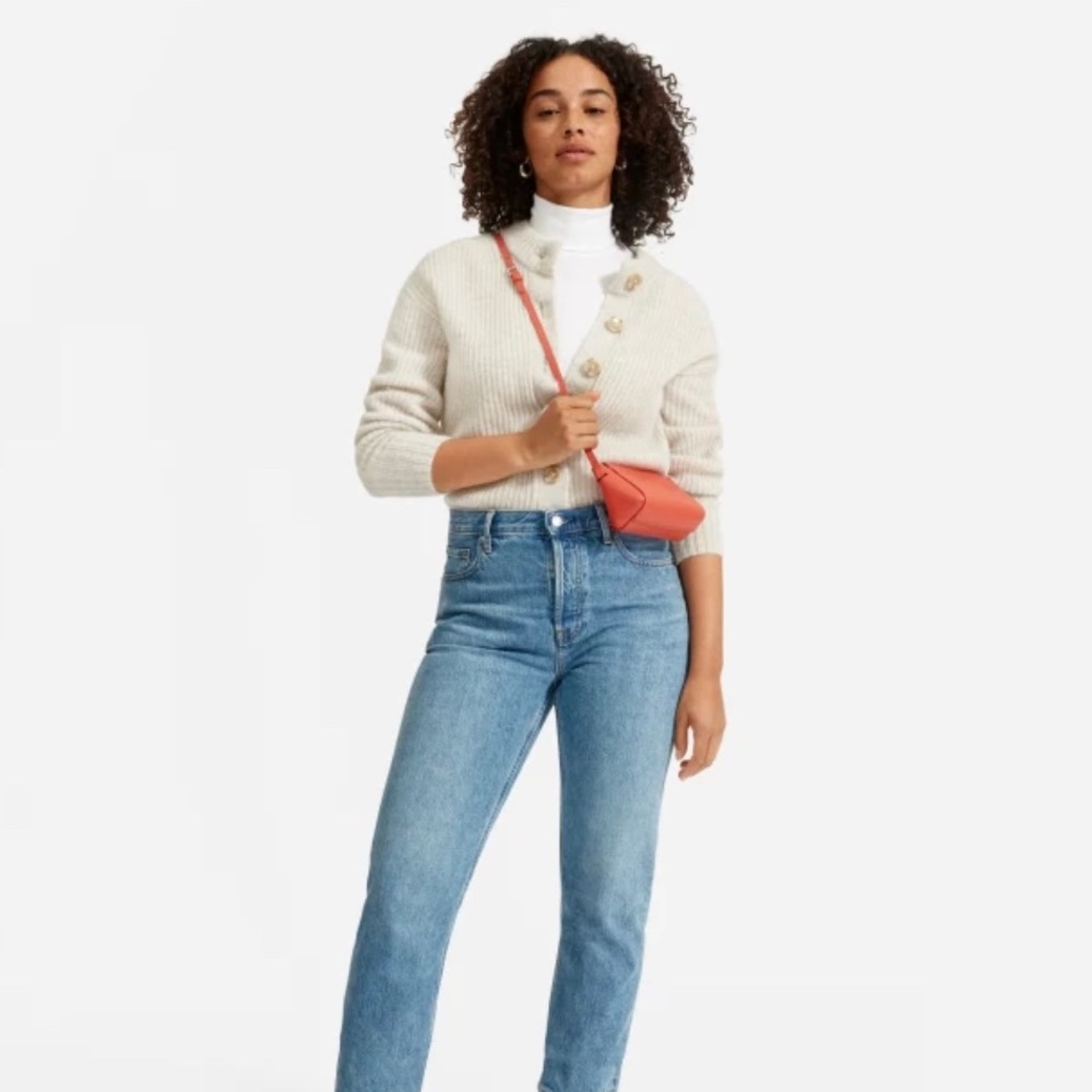 Everlane Mini Bag in Coral - Picture 3 of 11